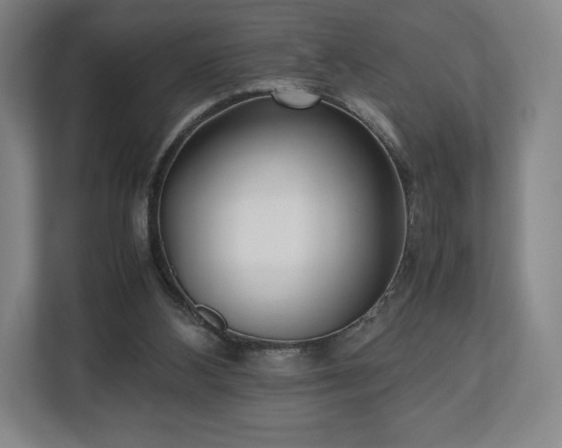 X0000112530108200908241515