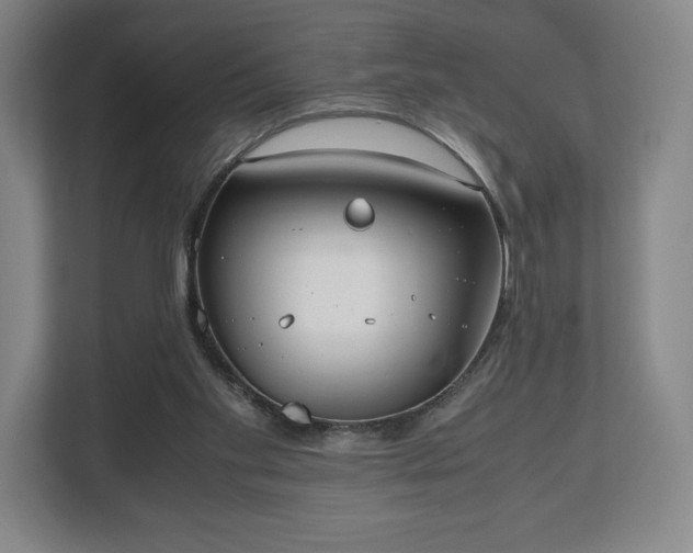 X0000112530109200908241515