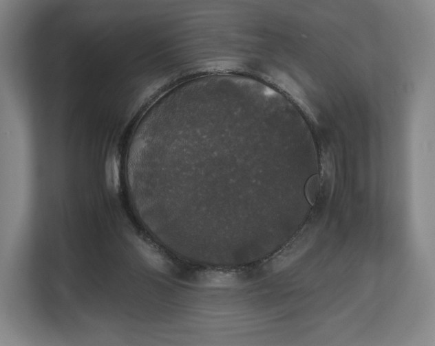 X0000112530110200908241514