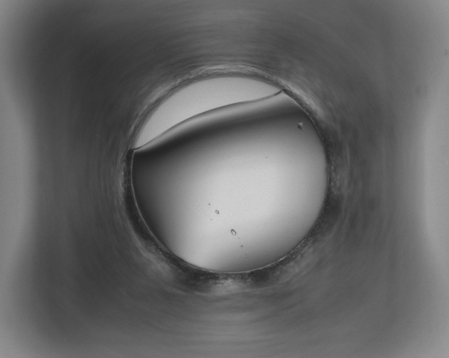 X0000112530111200908241514