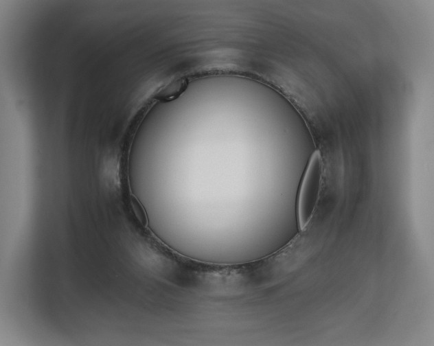 X0000112530112200908241514