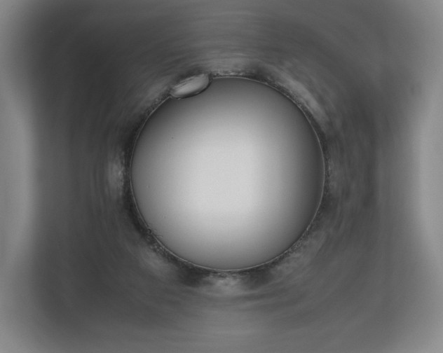 X0000112530113200908241514
