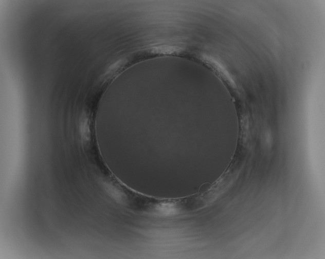 X0000112530114200908241514