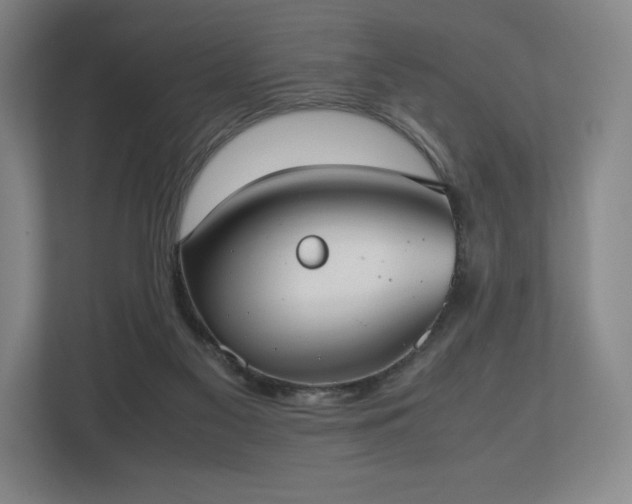 X0000112530117200908241514