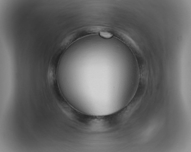 X0000112530119200908241514