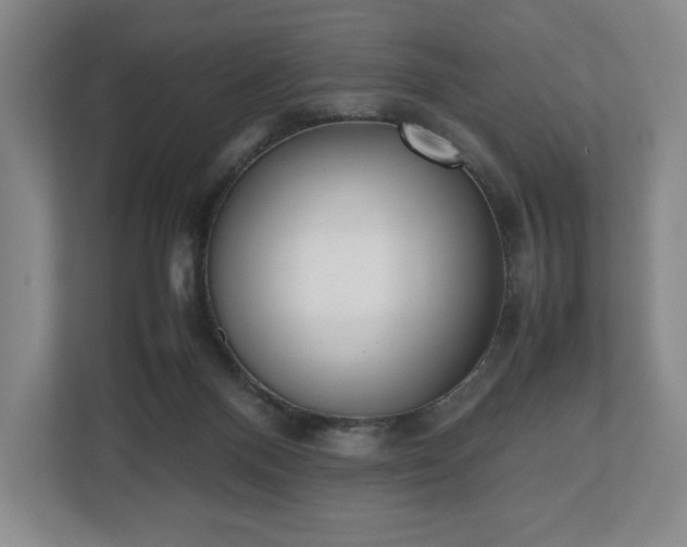 X0000112530120200908241514