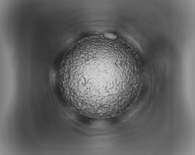 X0000112530123200908241514