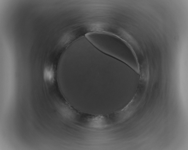 X0000112530124200908241514