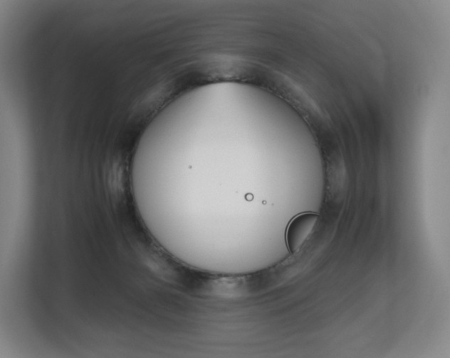 X0000112530126200908241514