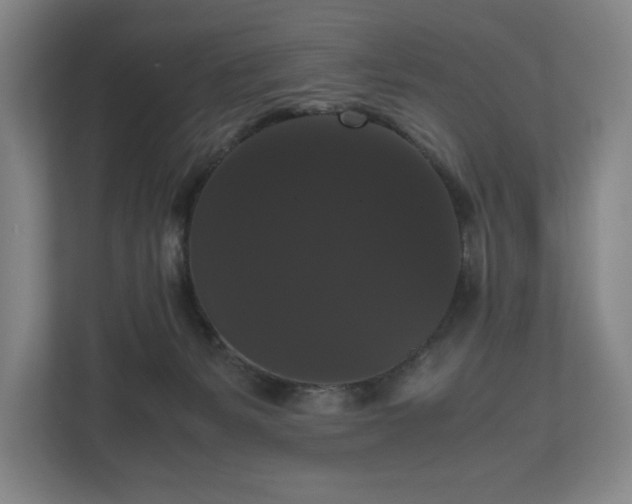 X0000112530127200908241514