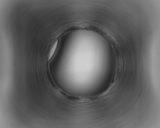 X0000112530128200908241514