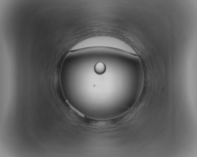 X0000112530129200908241514