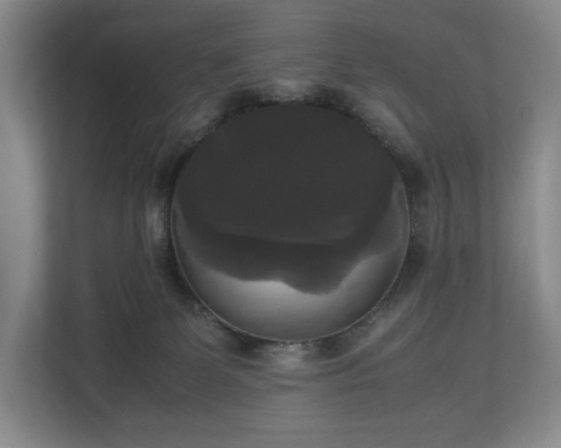 X0000112530131200908241514