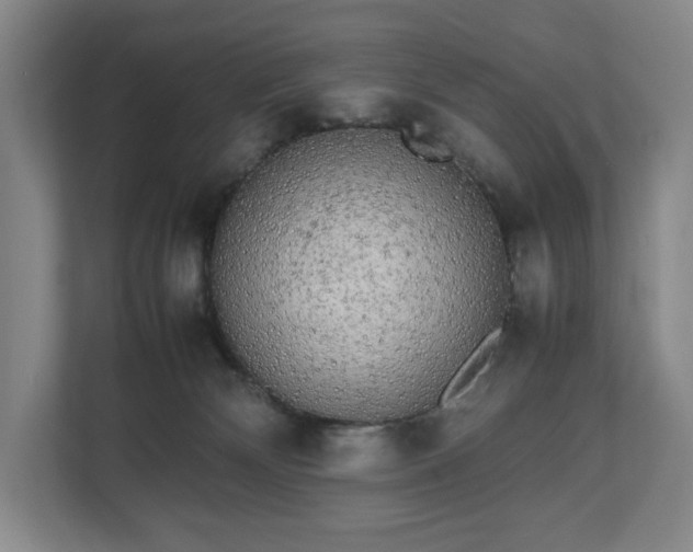 X0000112530132200908241514