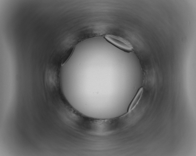 X0000112530136200908241514