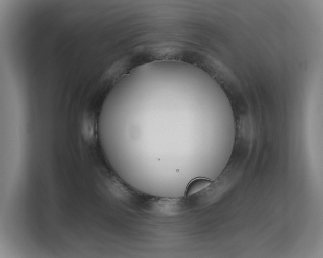 X0000112530138200908241514