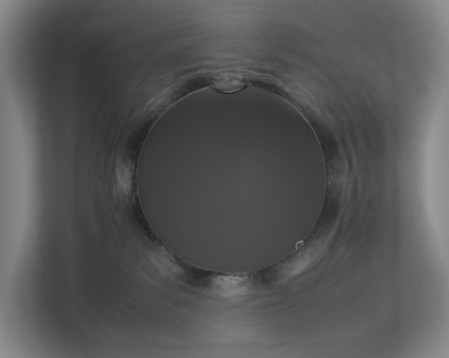 X0000112530139200908241514