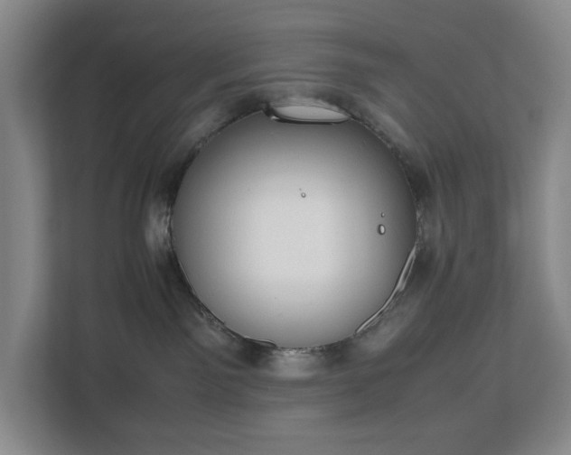 X0000112530141200908241514
