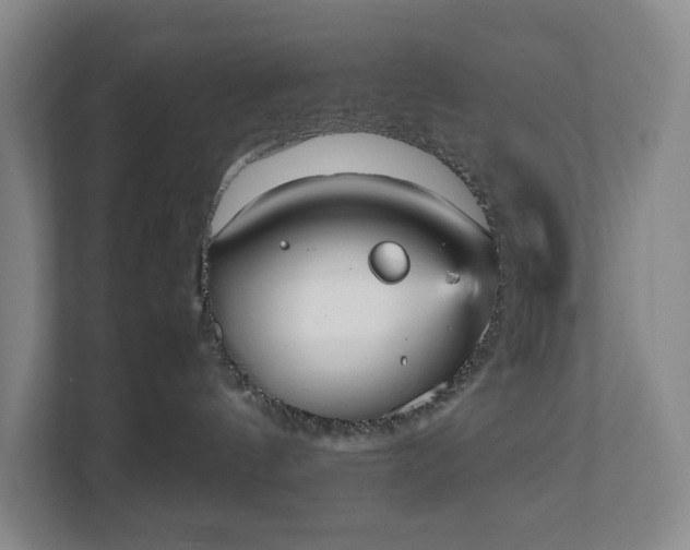 X0000112530144200908241514