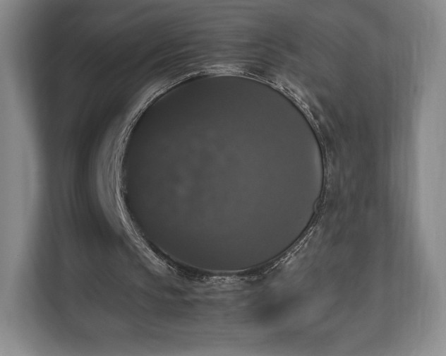 X0000112530145200908241513