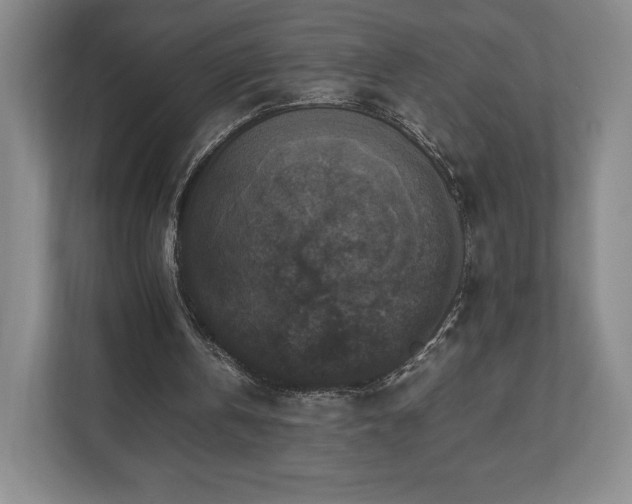 X0000112530146200908241513