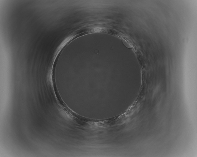 X0000112530147200908241513