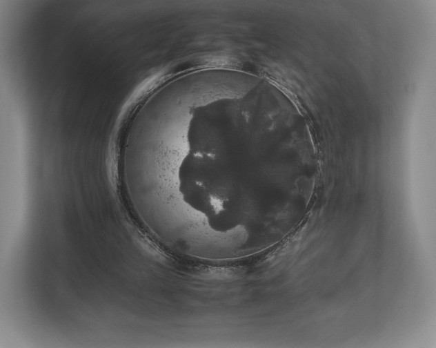X0000112530149200908241513