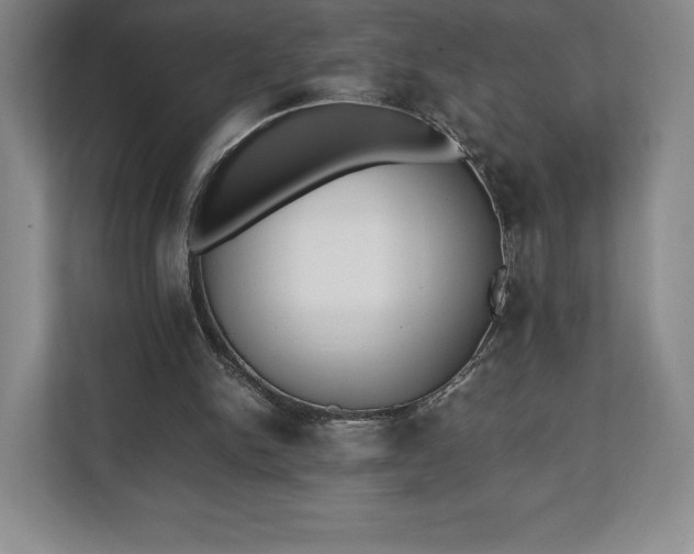 X0000112530150200908241513
