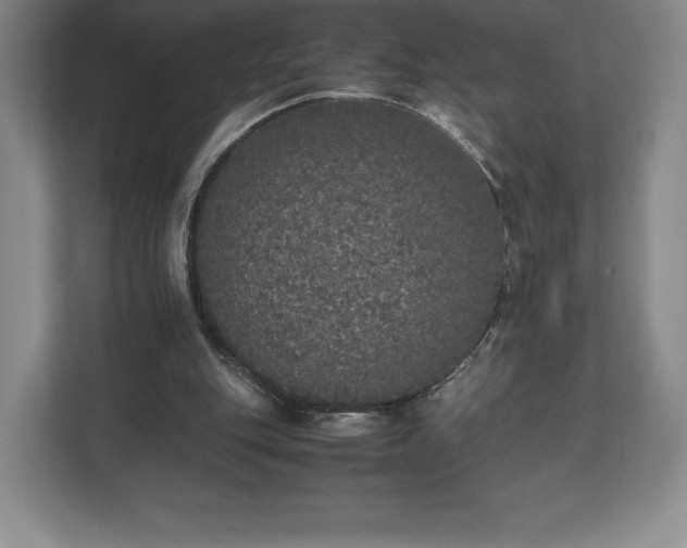 X0000112530151200908241513