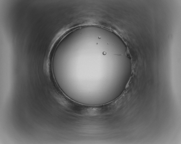 X0000112530152200908241514