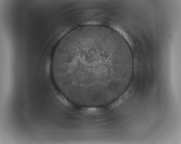 X0000112530153200908241514