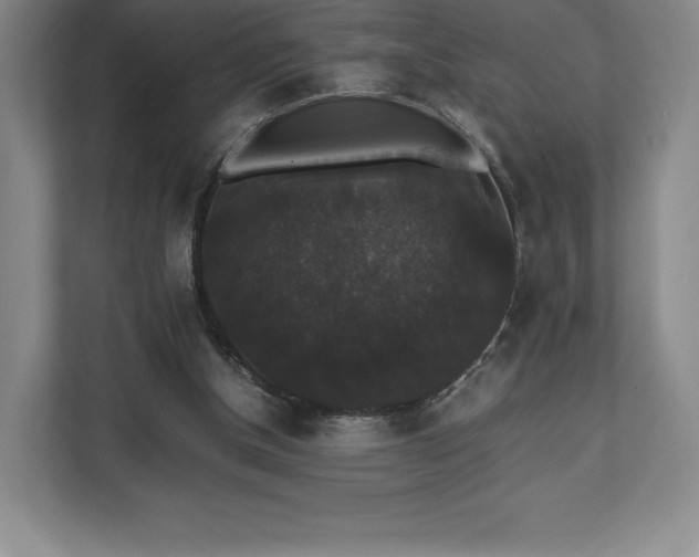 X0000112530154200908241514