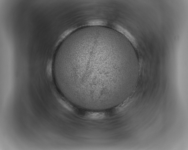 X0000112530155200908241514