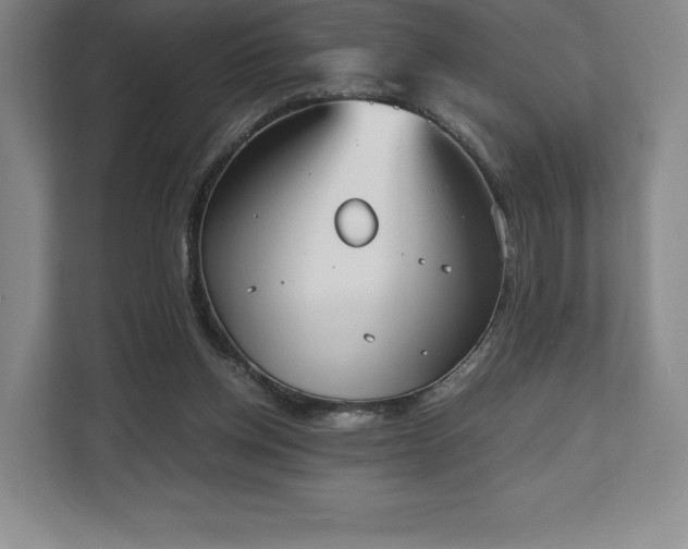 X0000112530158200908241514