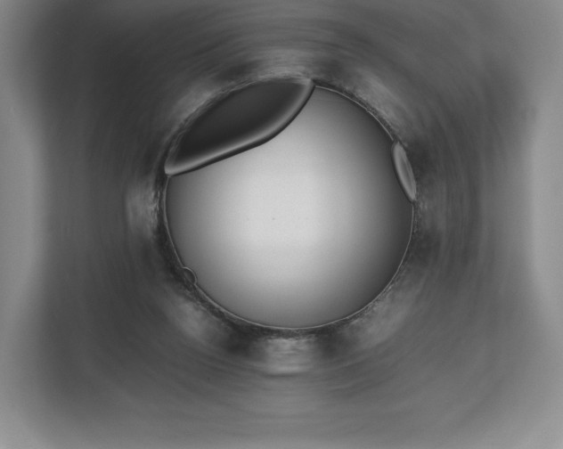 X0000112530160200908241514
