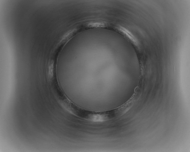 X0000112530163200908241514