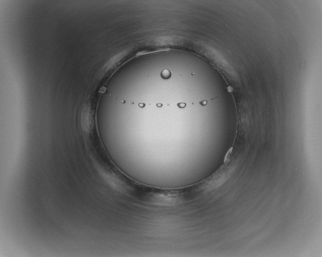 X0000112530164200908241514