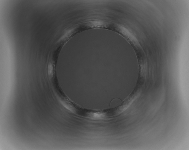 X0000112530165200908241514