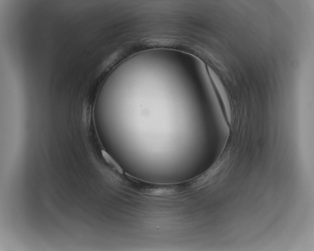 X0000112530168200908241514
