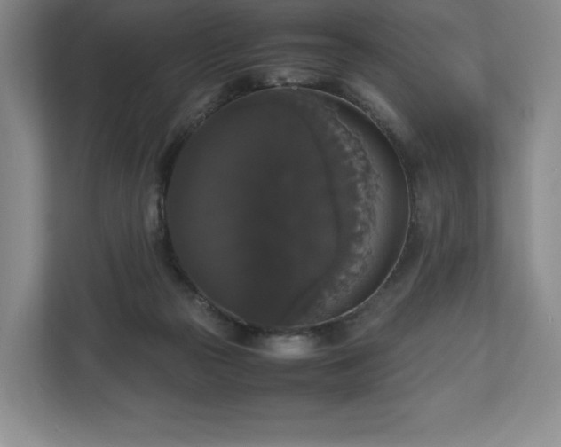 X0000112530169200908241514