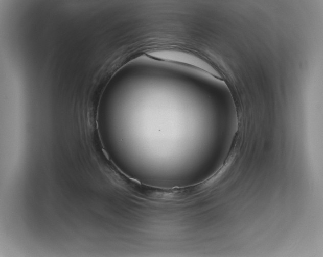 X0000112530170200908241514