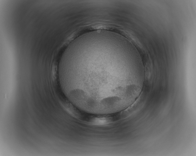 X0000112530171200908241514