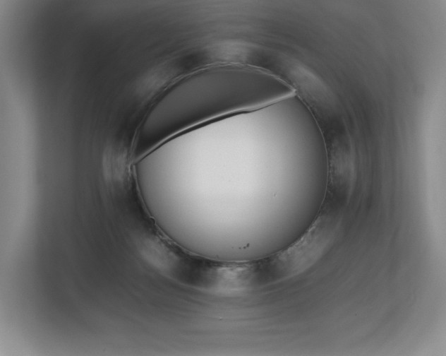 X0000112530172200908241514