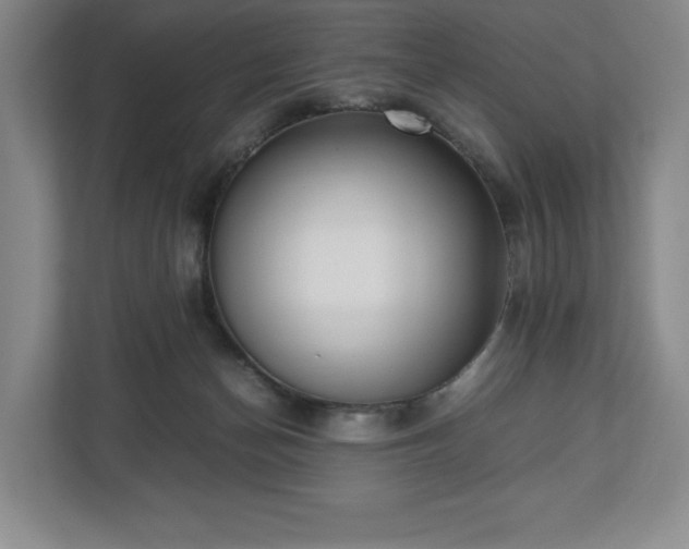 X0000112530174200908241514