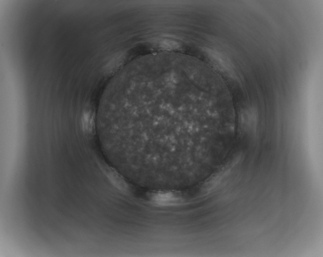 X0000112530177200908241514