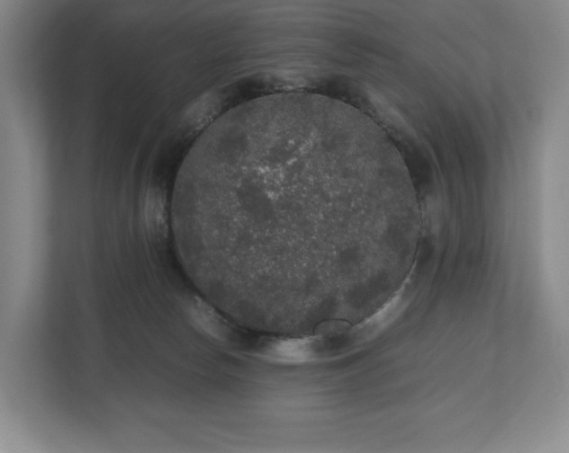 X0000112530178200908241514