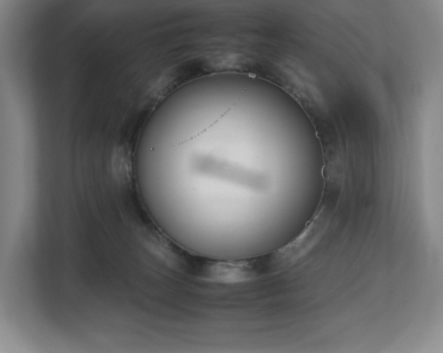 X0000112530179200908241514