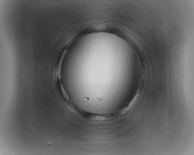 X0000112530180200908241514