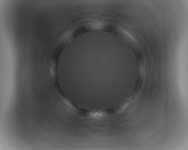 X0000112530181200908241514