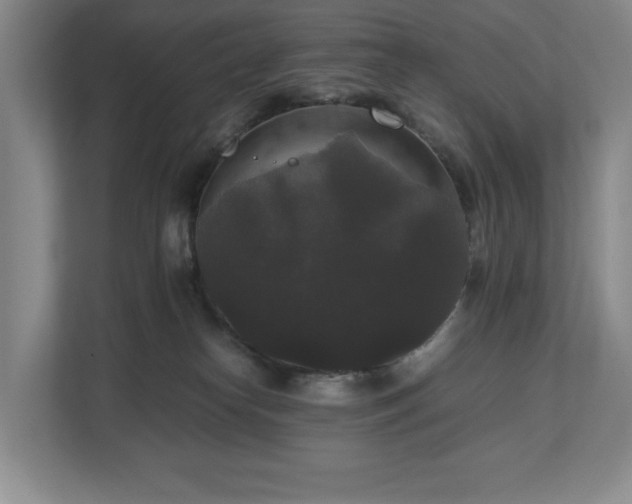 X0000112530182200908241514
